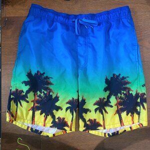 Men Swim trunks